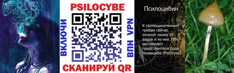 blacksprut tor  где купить наркоту  это формула  Галлюциногенные грибы Cubensis  Скопин 