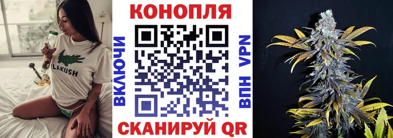 Шишки марихуана семена  даркнет сайт  Скопин 